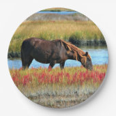 Assiettes en papier Cheval sauvage mangeant dans l (Devant)
