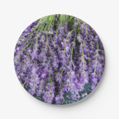 Assiettes en Papier de Lavande en Tiges (Devant)