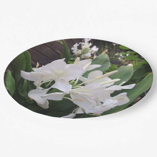 Assiettes en papier Fleur de gingembre (Angle)