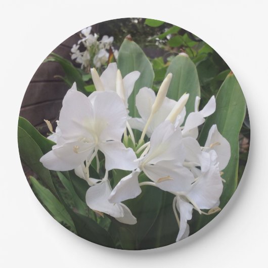 Assiettes en papier Ginger Lily (Devant)