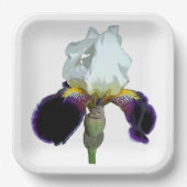 Assiettes en papier Iris violet et blanc (Recto)