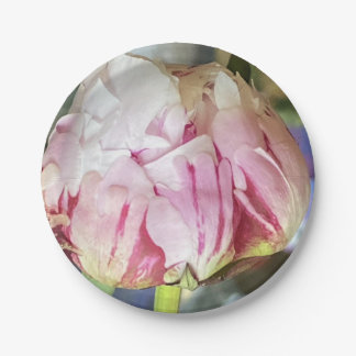 Assiettes en papier parfaites Pivoine