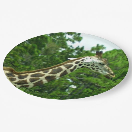 Assiettes en papier profil de girafe (Angle)