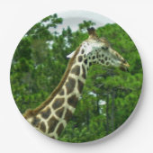 Assiettes en papier profil de girafe (Devant)