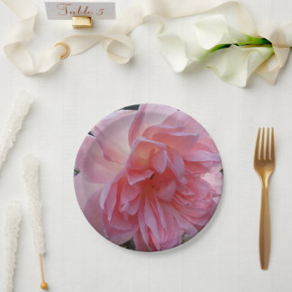 Assiettes en papier rose pour votre fête ou événem