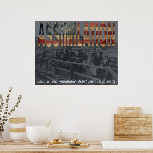 Assimilatie Poster (Keuken)