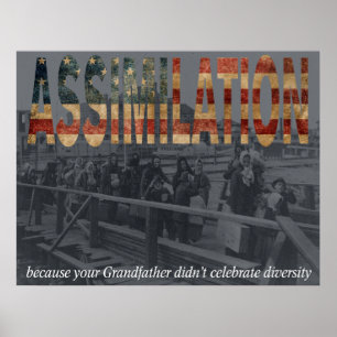 Assimilatie Poster