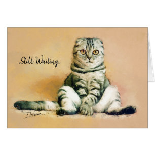 Assis de chats en attente   Je manque votre carte