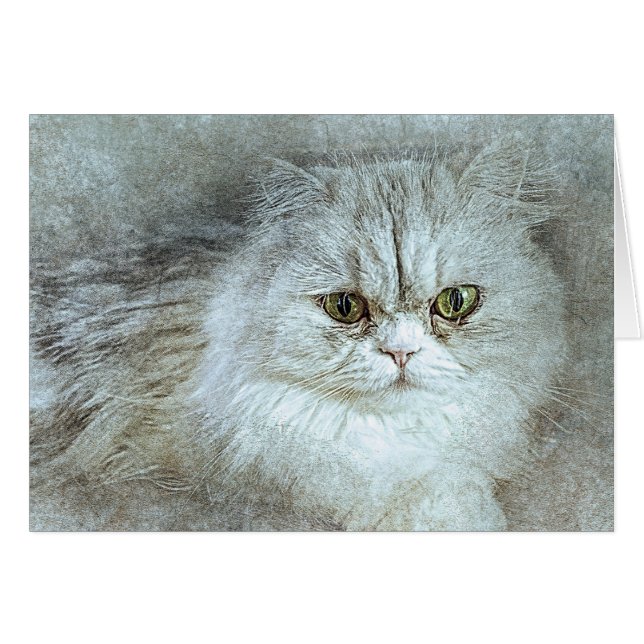 Assis Jolie Kitty | ABSTRAIT | Aquarelle (Devant horizontal)
