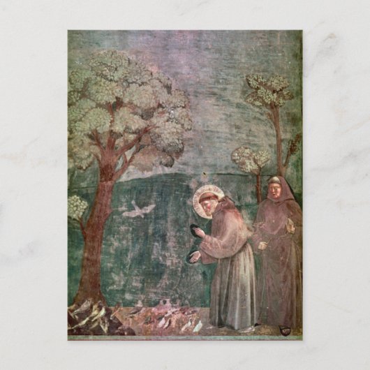Assisi, St Francis en de vogels Briefkaart (Voorkant)