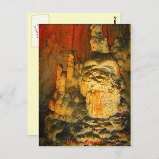 ASSISTANT DE LA CAVE - Carte postale (Devant / Derrière)