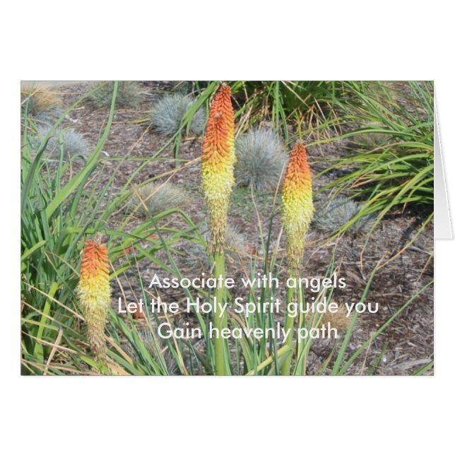 Associé avec des anges (Devant horizontal)