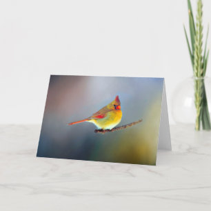 Assorted Note Cards Kaart