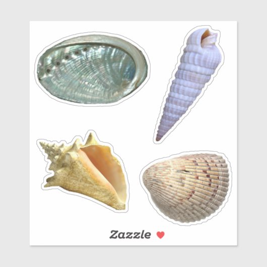Assorted Seashells Sticker (Vel)