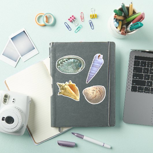 Assorted Seashells Sticker (iPad Cover)