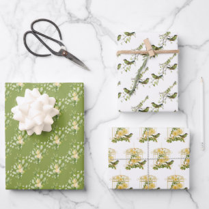 Assortiment de papier d'enveloppement d'oiseaux et