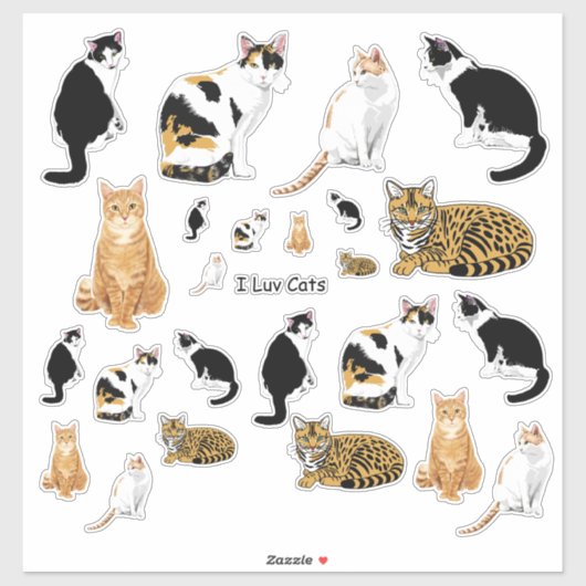Assortiment Schattigee Katten LG Sticker Set (Vel)