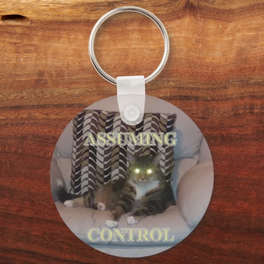 Assuming Control cat keychain (Voorkant)