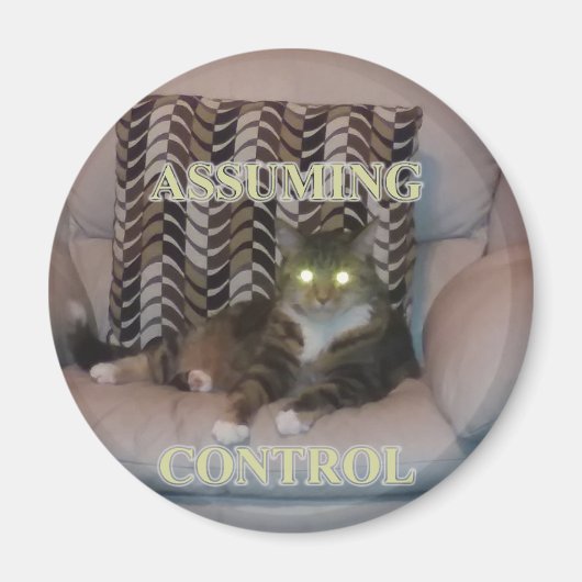 Assuming Control cat magnet (Devant)
