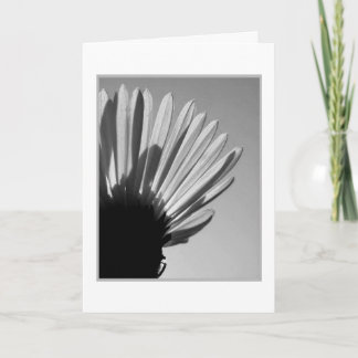 ASTER: A Die Herfsten. . . Kaart