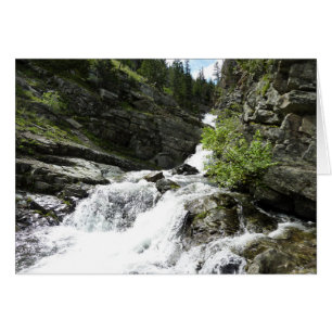 Aster Creek à Glacier National Park