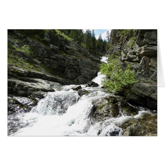 Aster Creek à Glacier National Park (Devant horizontal)