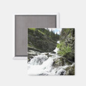 Aster Creek in Glacier National Park Magneet (Voorkant / Achterkant)