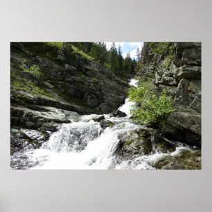 Aster Creek in Glacier National Park Poster