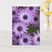 Aster Flowers Wenskaart Kaart (Gele Bloem)