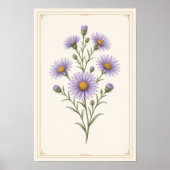 Aster, impression d'art mural de la fleur de naiss (Devant)