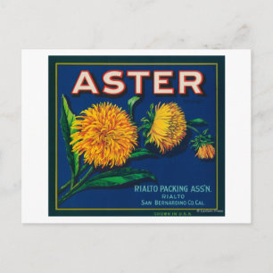 Aster-merk Citrus-kratenetiket Briefkaart