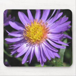 Aster Mousepad Muismat