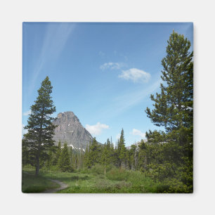 Aster Park Trail in Glacier National Park Magneet