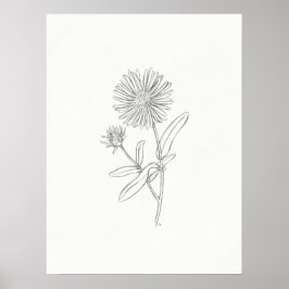 Aster Sketch Print