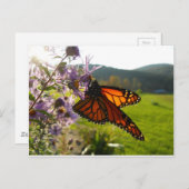 Aster Visitor Briefkaart (Voorkant / Achterkant)