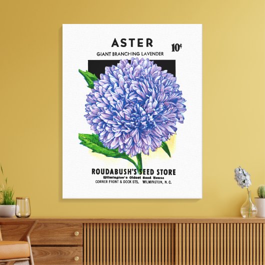 Aster  zaadpakket canvas afdruk (Insitu (Woonkamer))