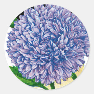 Aster zaadpakket ronde sticker
