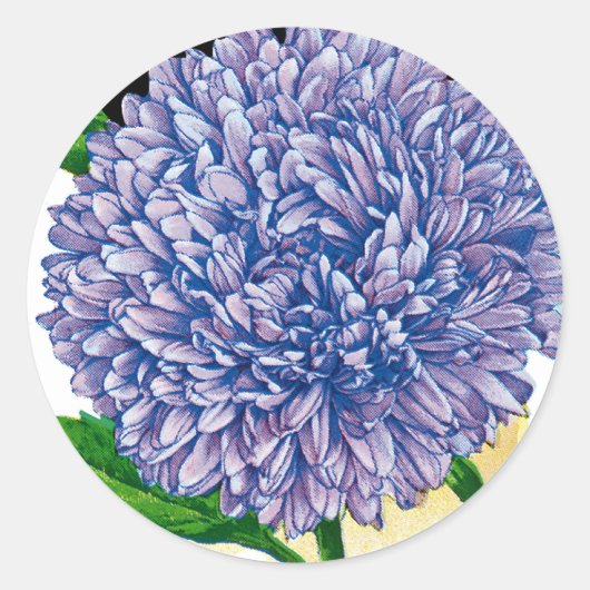 Aster  zaadpakket ronde sticker (Voorkant)