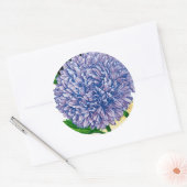 Aster  zaadpakket ronde sticker (Envelop)