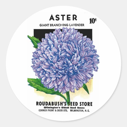 Aster  zaadpakket ronde sticker (Voorkant)