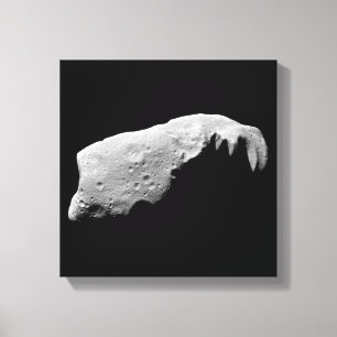 Asteroïde 243 Ida Canvas Afdruk
