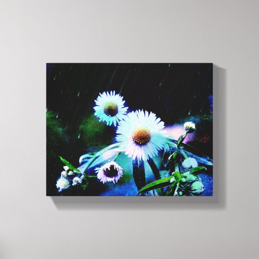 Asters Aglow Enveloppé Imprimantes de toile (Recto)