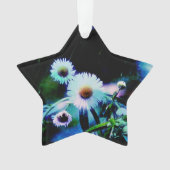 Asters Aglow Star Orament (devant)