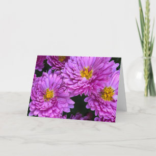 Asters in volle bloei Kaart