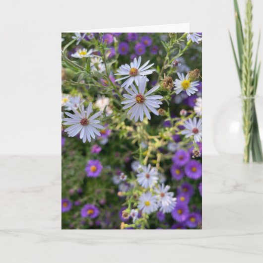 Asters Kaart (Voorkant)