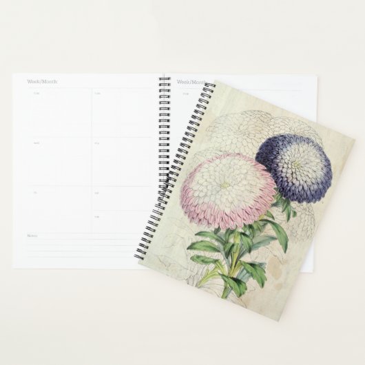 Asters nains vintages à fleurs (Devant avec enveloppe)