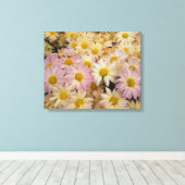 Asters sur toile enroulée (Insitu (Plancher de Bois))