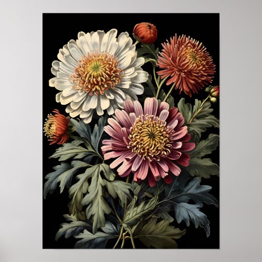 Asters Wildflower Symfonie Poster (Voorkant)