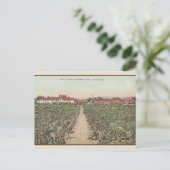  Asti California Wine Cellars Post Card Briefkaart (Staand voorkant)