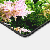 Astilbe (Coin)